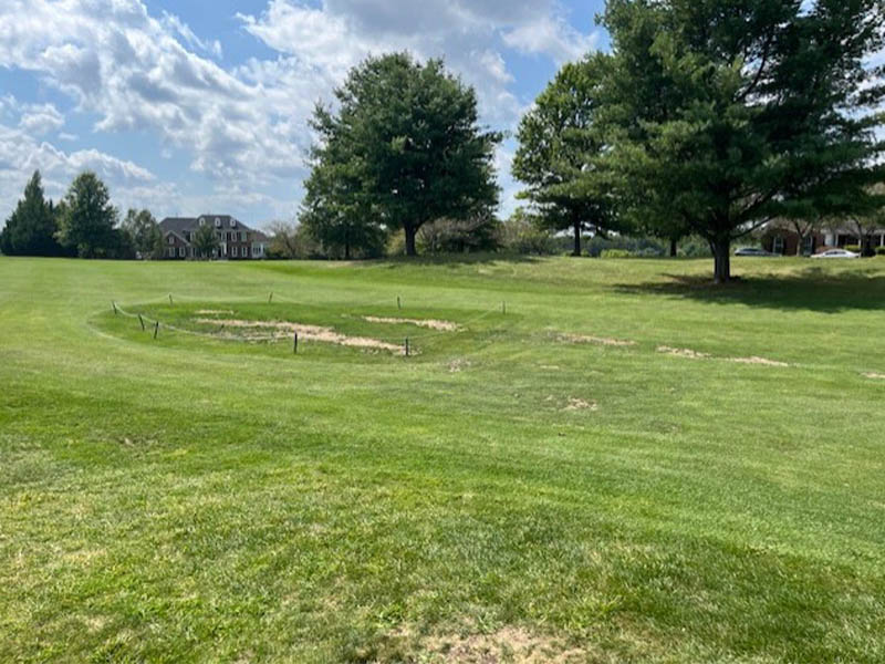 1 fairway before