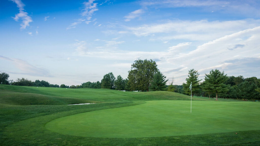 The Links at Challedon green